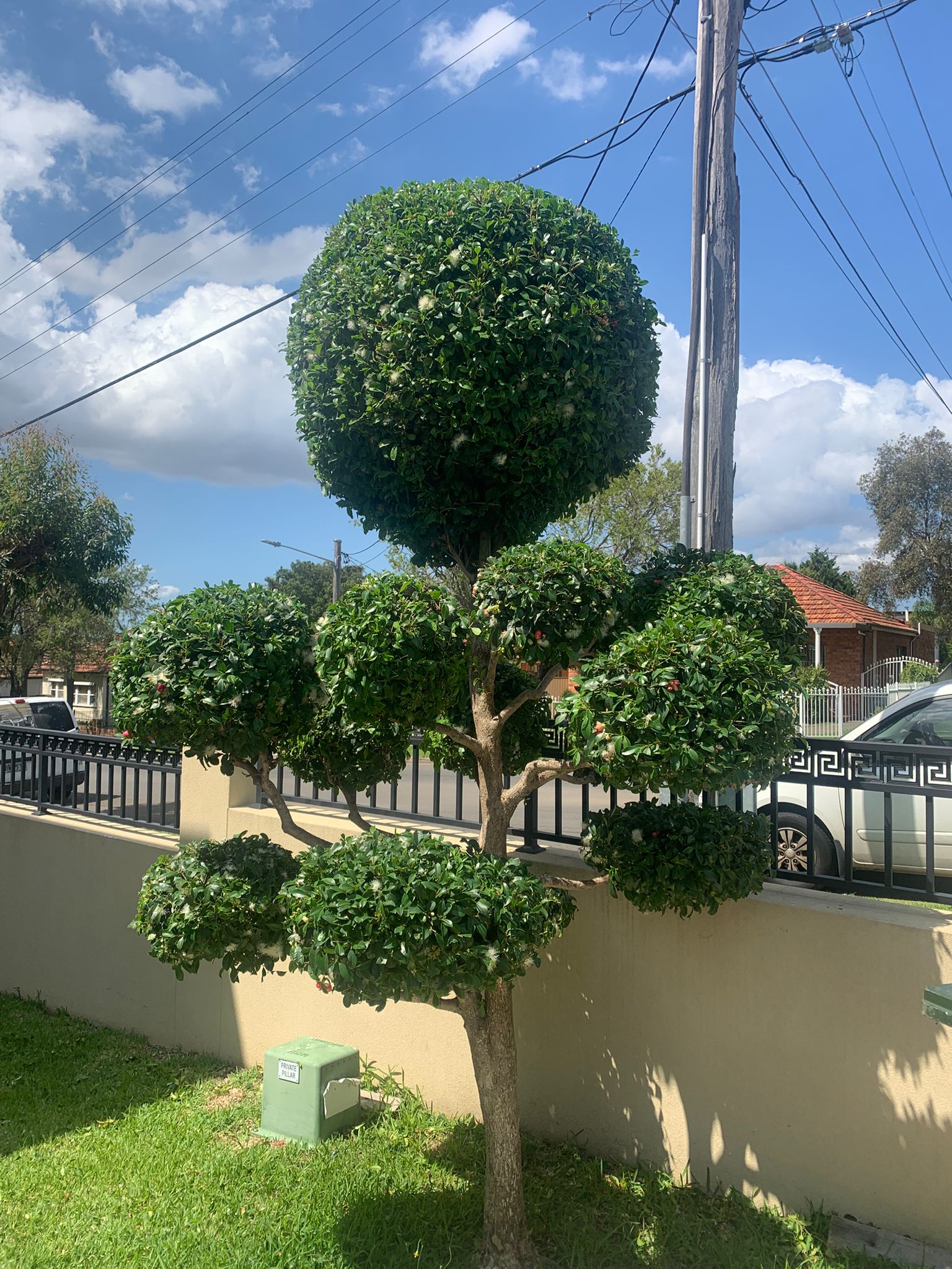 Garden maintenance work