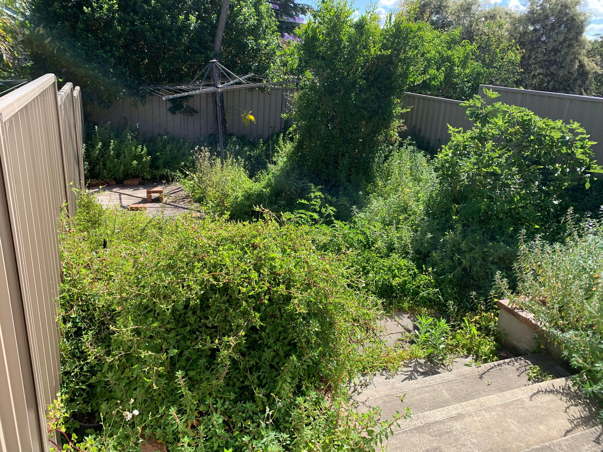 Garden maintenance work