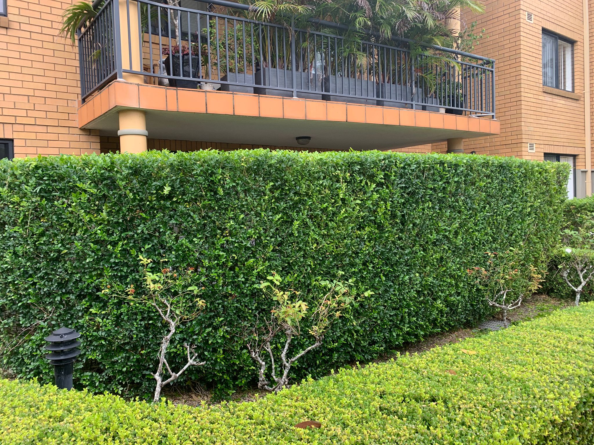 Garden maintenance work